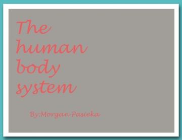 The body system