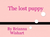 the pet who was lost