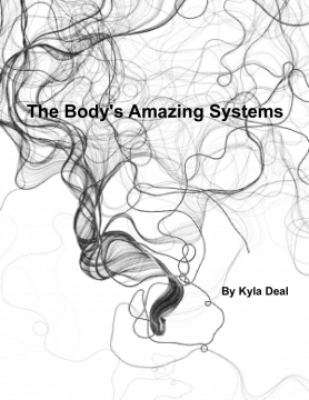 The Body's Amazing Systems