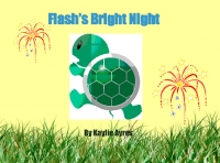 Flash's Bright Night
