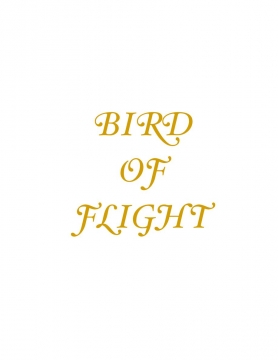 Bird Of Flight
