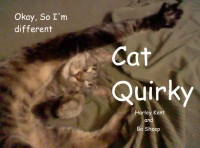 Cat Quirky