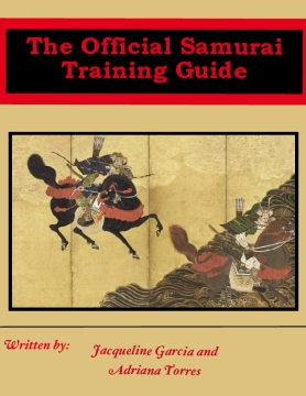 Training guide for samurai