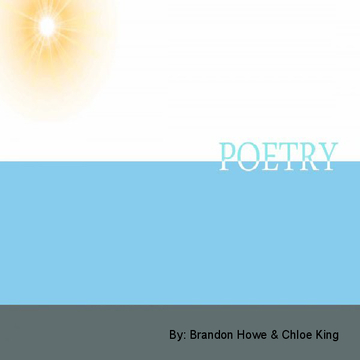 CI 378 Poetry Book