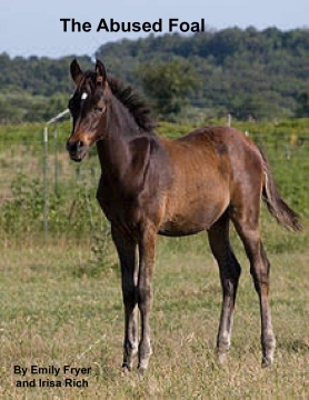 The Abused Foal