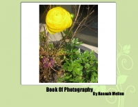 Bee's Book of Photography