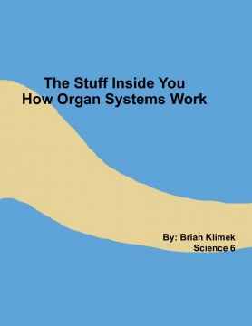 The Stuff Inside You