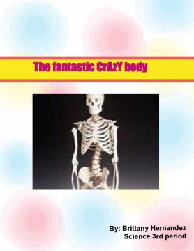 The fantastic CrAzY body