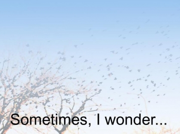Sometimes I wonder...