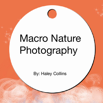 Macro nature photography