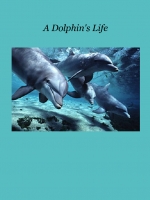 A Dolphin's Life