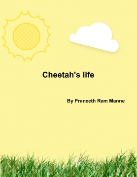 The Cheetah's life