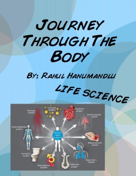 Journey Through The Body