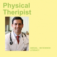 physical therepist