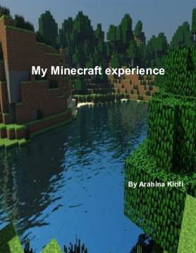 My Minecraft experience