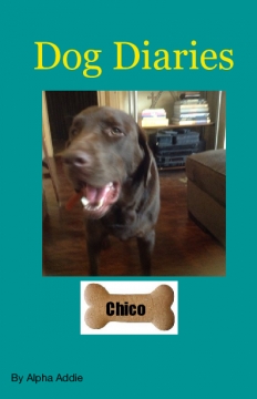 Dog Diaries Chico