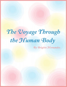 The Voyage Through the Human Body