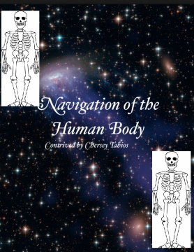 Navigation of the Body Systems