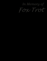 In Memory of  Fox Trot