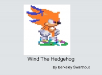 Wind The Hedgehog