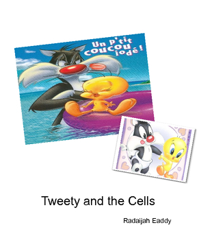 Tweety bird and the cells
