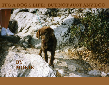 A Dog's Life II