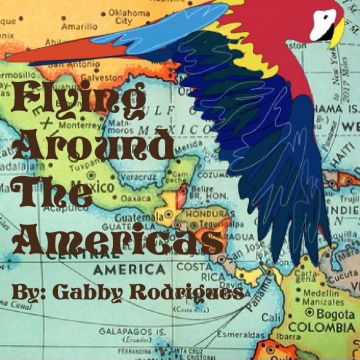 Flying Around The Americas