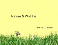 Nature & Wild Life