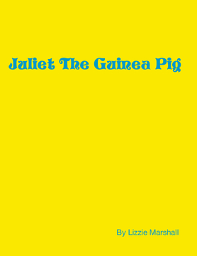 Juliet The Guinea Pig