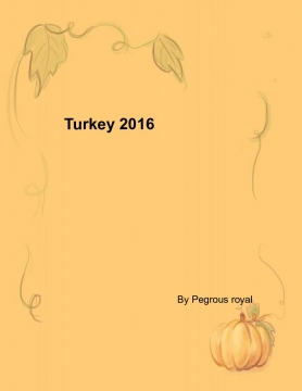 Turkey 2016
