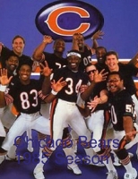 Chicago Bears 1985 Season