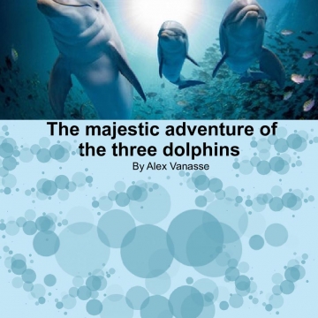 The majestic adventure of the three dolphins