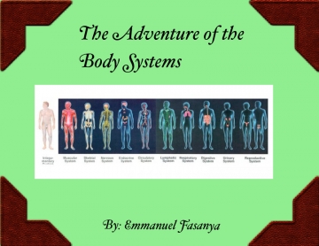 Adventure Through the Body Systems