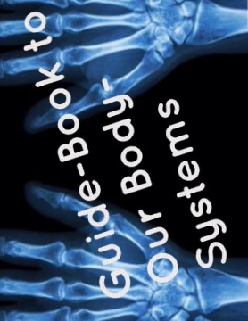 Guidebook to our body-systems