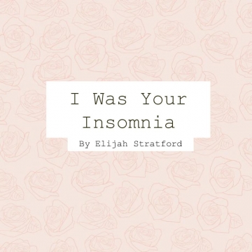 I Was Your Insomnia