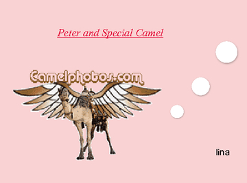 Peter and Special Camel