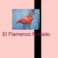 El Rosadio Flaminco