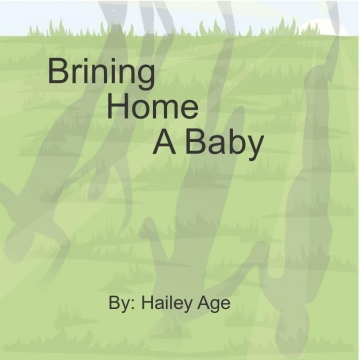 Bringing Home Baby