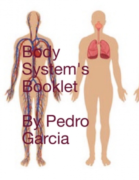 Body System's