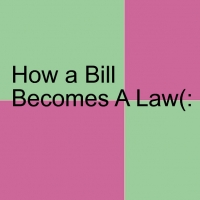How a Law Is Made