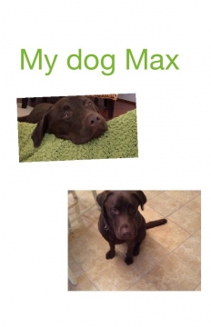 My dog Max