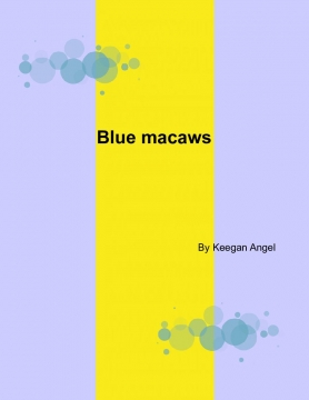 Blue macaws