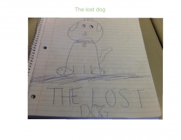 The lost dog