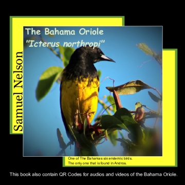 The Bahama Oriole Story
