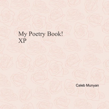 MY POETRY BOOK :-)