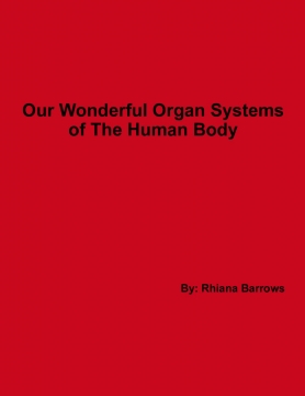 Our wonderful organ systems
