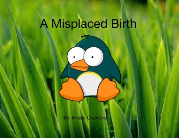 A Misplaced Birth