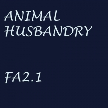 Animal husbandry
