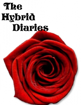 The Hybrid Diaries