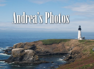 Andrea's Photos